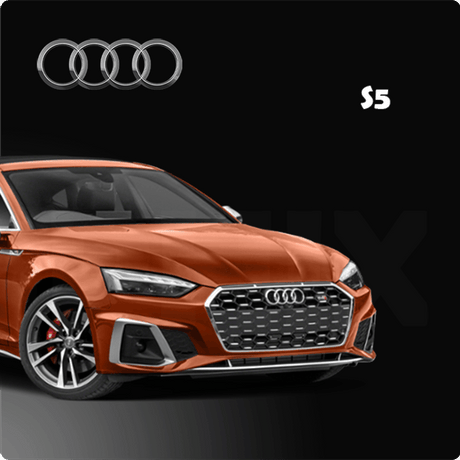 Audi Protection Kit Audi Interior Protection Kits – Sphinx365.com