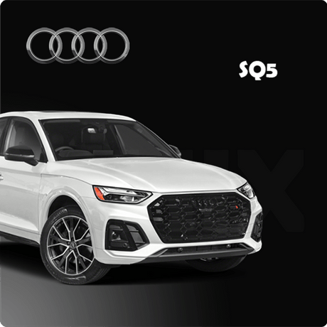 Audi Protection Kit Audi Interior Protection Kits – Sphinx365.com