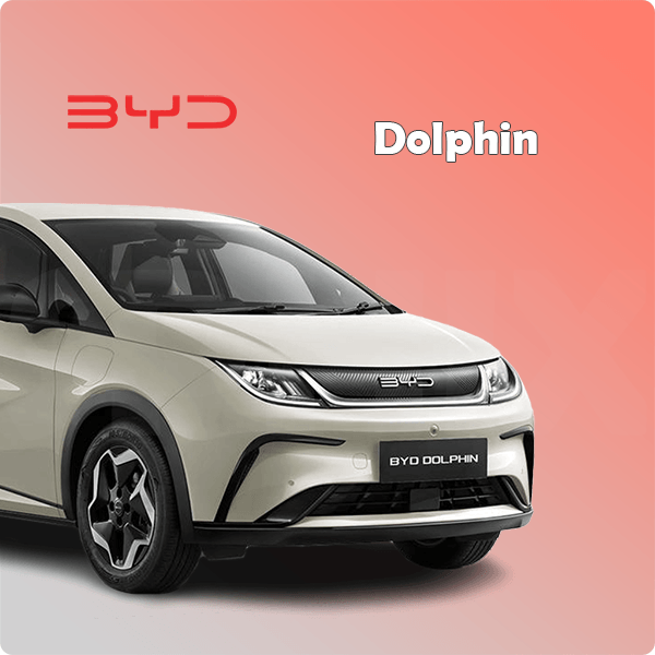 Complete BYD Dolphin car protection kit by Sphinx365 – includes interior film, exterior paint protection, headlight covers, window tint, and premium accessories – anti-scratch, self-healing, anti-yellowing, smooth-touch, removable TPU material.