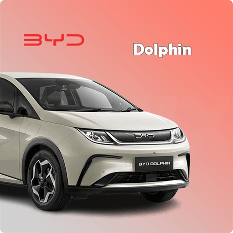 Complete BYD Dolphin car protection kit by Sphinx365 – includes interior film, exterior paint protection, headlight covers, window tint, and premium accessories – anti-scratch, self-healing, anti-yellowing, smooth-touch, removable TPU material.