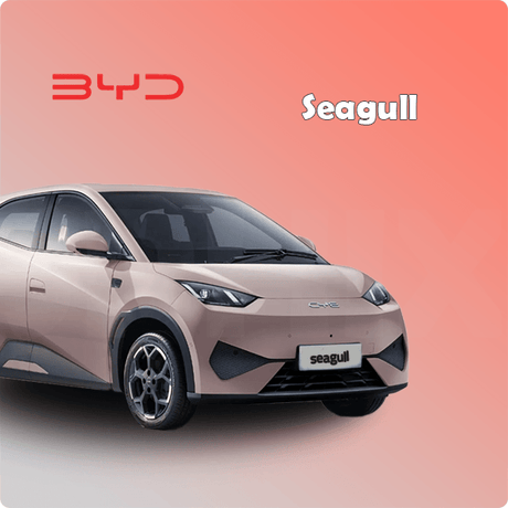 Complete BYD Seagull car protection kit by Sphinx365 – includes interior film, exterior paint protection, headlight covers, window tint, and premium accessories – anti-scratch, self-healing, anti-yellowing, smooth-touch, removable TPU material.